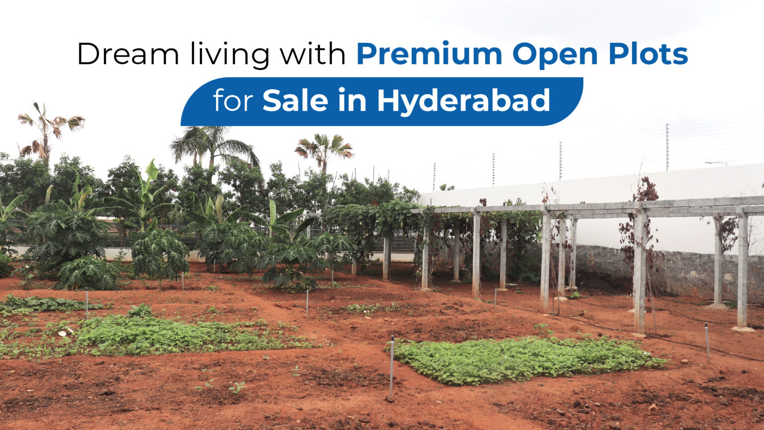 Dream living with Premium Open Plots for Sale in Hyderabad