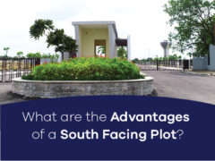 What are the Advantages of a South Facing Plot?